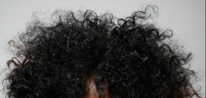 Wild_hair-e1400173420573-3